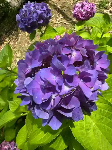 神炊館神社 ⁂奥州須賀川総鎮守⁂(福島県)