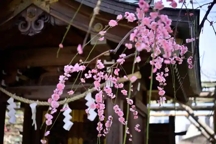 亀戸天神社(東京都)