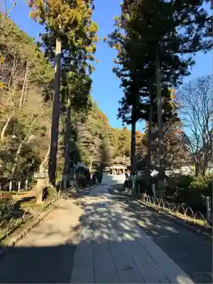 高麗神社(埼玉県)
