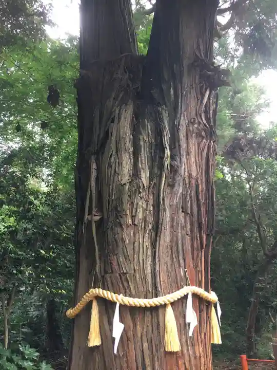 息栖神社の自然