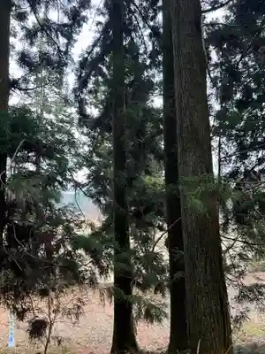 大宮温泉神社(栃木県)