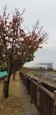 諏訪神社の周辺