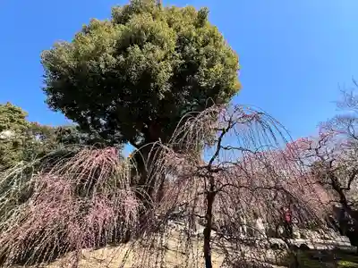 城南宮(京都府)