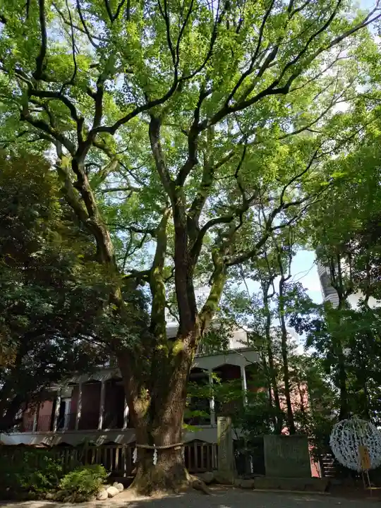 乃木神社(東京都)