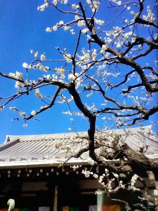 常性寺(東京都)