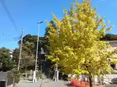 三嶋神社の自然