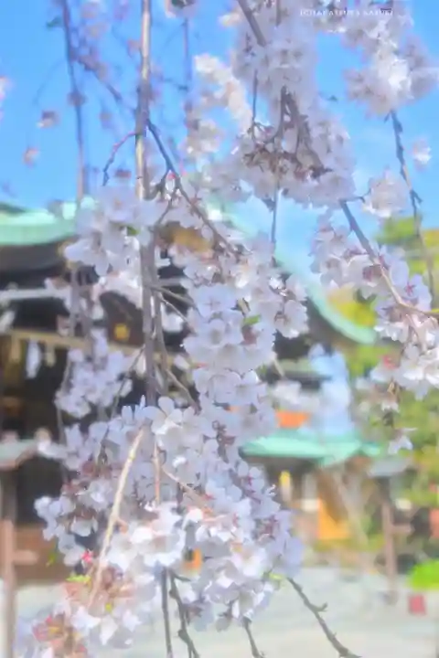 日枝神社(静岡県)