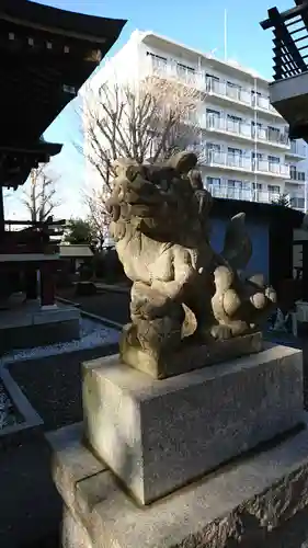 小金八坂神社の狛犬