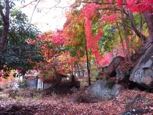 栖雲寺の建物その他