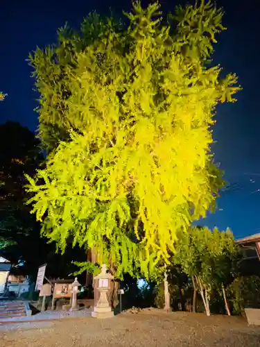 三栖神社(京都府)