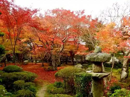 圓光寺(京都府)