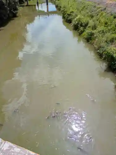 宇佐神宮(大分県)