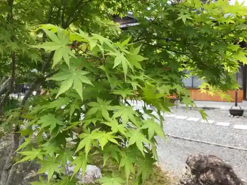 應賀寺(静岡県)