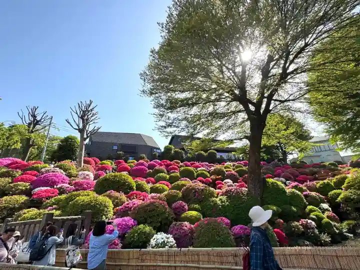 根津神社の{uncategorized: "未分類", other: "その他", undefined: "問題あり", building: "その他建物", grave: "お墓", sacred_gate: "鳥居", guardian: "狛犬", statue: "像", buddha: "仏像", history: "歴史", nature: "自然", garden: "庭園", animal: "動物", pagoda: "塔", temizu: "手水舎", mountain_gate: "山門・神門", sanctuary: "本殿・本堂", subordinate: "末社・摂社", art: "芸術", scenery: "景色", jizo: "地蔵", ema: "絵馬", goshuin: "御朱印", omikuji: "おみくじ", items: "授与品その他", amulet: "お守り", goshuincho: "御朱印帳", eats: "食事", festival: "お祭り", votive_dance: "神楽", shichigosan: "七五三参", wedding: "結婚式", experience: "体験その他", initially: "初詣", around: "周辺", anti_infection: "感染症対策"}