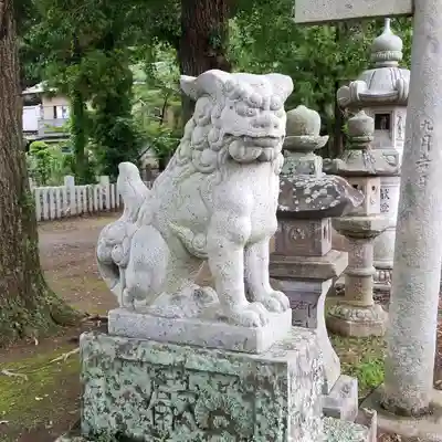 素鵞熊野神社の狛犬