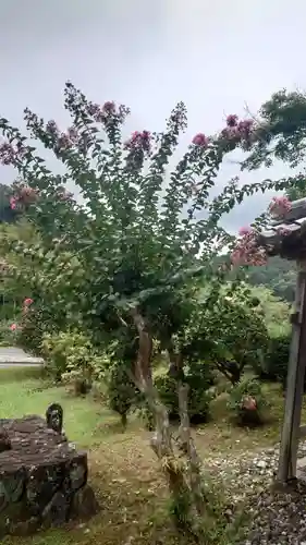 医王寺(愛知県)