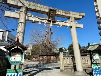 今戸神社の鳥居