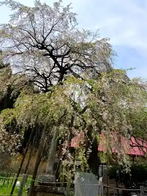 永泉寺(福島県)