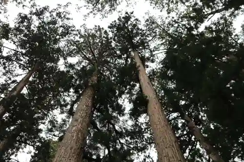 高野山金剛峯寺の自然