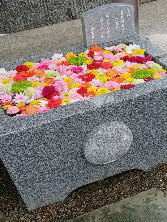 荘内神社の{uncategorized: "未分類", other: "その他", undefined: "問題あり", building: "その他建物", grave: "お墓", sacred_gate: "鳥居", guardian: "狛犬", statue: "像", buddha: "仏像", history: "歴史", nature: "自然", garden: "庭園", animal: "動物", pagoda: "塔", temizu: "手水舎", mountain_gate: "山門・神門", sanctuary: "本殿・本堂", subordinate: "末社・摂社", art: "芸術", scenery: "景色", jizo: "地蔵", ema: "絵馬", goshuin: "御朱印", omikuji: "おみくじ", items: "授与品その他", amulet: "お守り", goshuincho: "御朱印帳", eats: "食事", festival: "お祭り", votive_dance: "神楽", shichigosan: "七五三参", wedding: "結婚式", experience: "体験その他", initially: "初詣", around: "周辺", anti_infection: "感染症対策"}