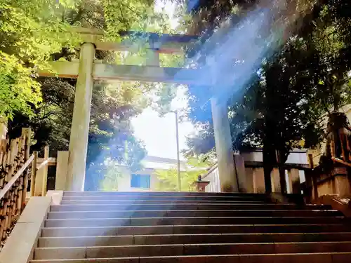 渋谷氷川神社の鳥居