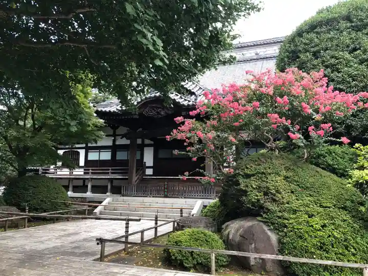 高円寺の本殿・本堂