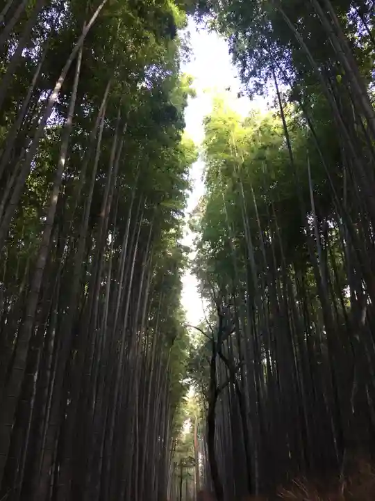 野宮神社(京都府)