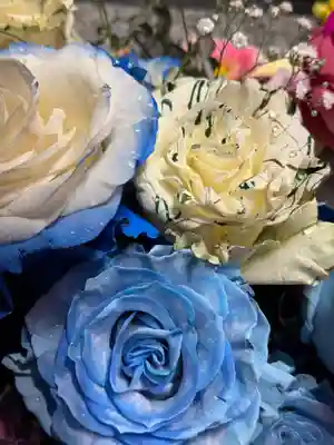 札幌諏訪神社の手水舎