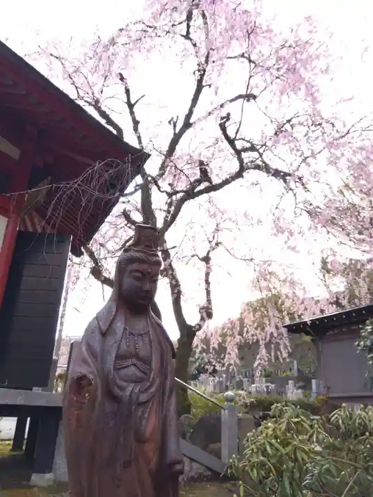 安養寺(福井県)
