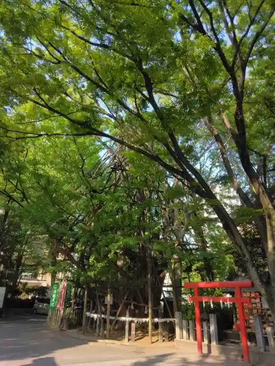 稲毛神社(神奈川県)