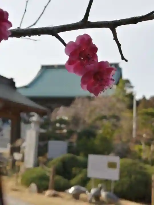 大聖寺(土浦大師不動尊)の自然