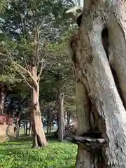 釜加神社(北海道)