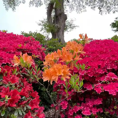 根津神社(東京都)