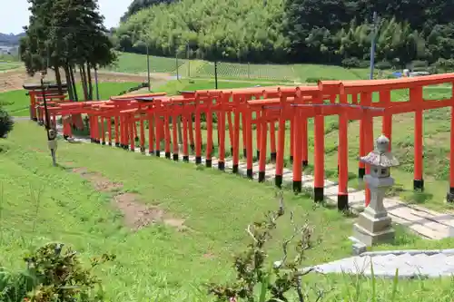 高屋敷稲荷神社の鳥居