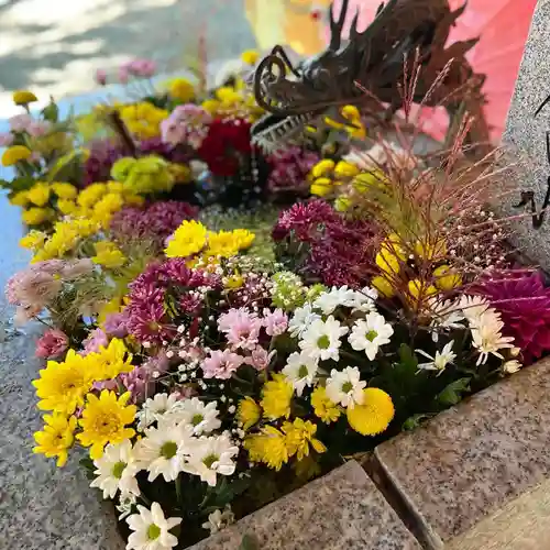 札幌諏訪神社の手水