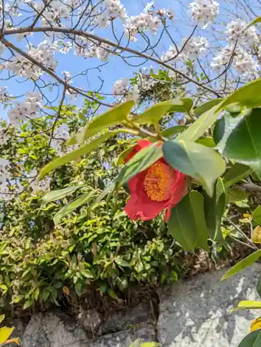 くろ谷 金戒光明寺(京都府)