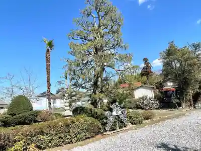 善福寺(滋賀県)