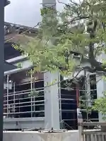 太宰府天満宮(福岡県)