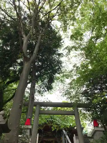 王子稲荷神社の自然