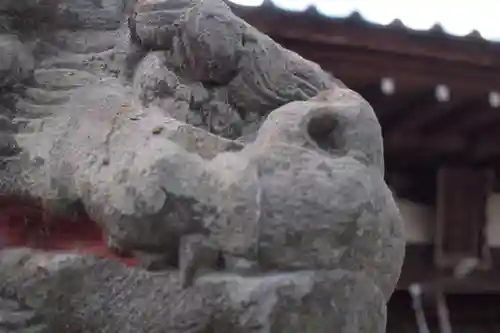 山梨岡神社の狛犬