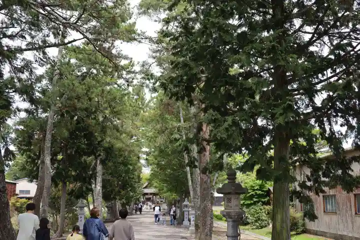 志那神社(滋賀県)