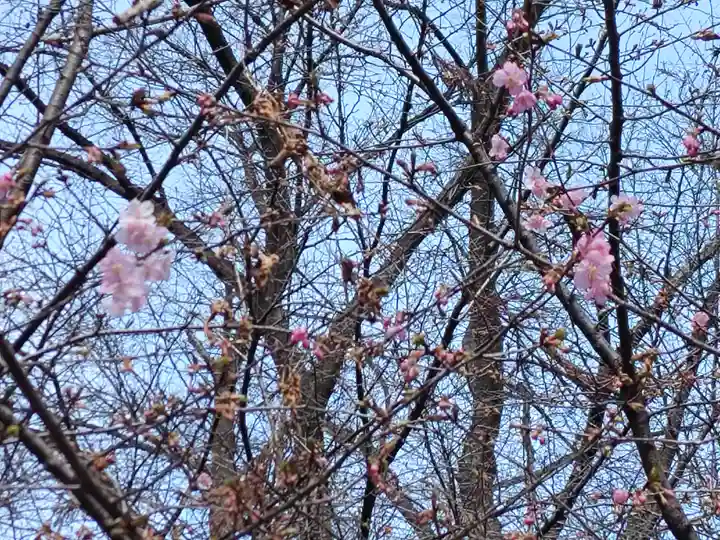 冠稲荷神社(群馬県)