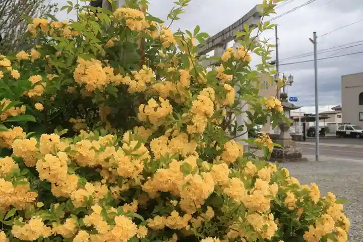 豊景神社の庭園