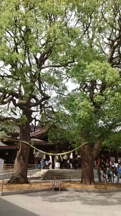 明治神宮(東京都)