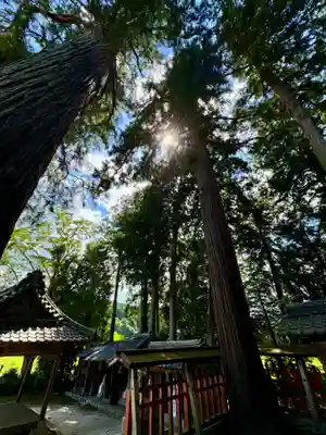 佐々尾神社(京都府)
