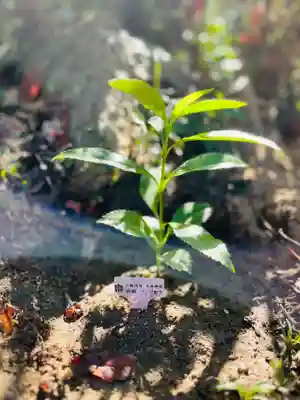 石内のお大師さん　金剛院(広島県)