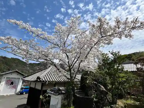 金熊寺(大阪府)