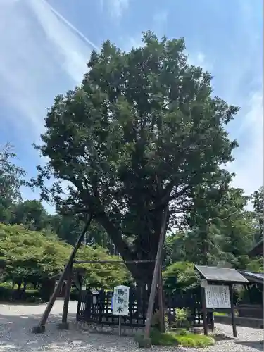 天宮神社(静岡県)