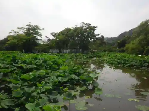 鶴岡八幡宮の庭園