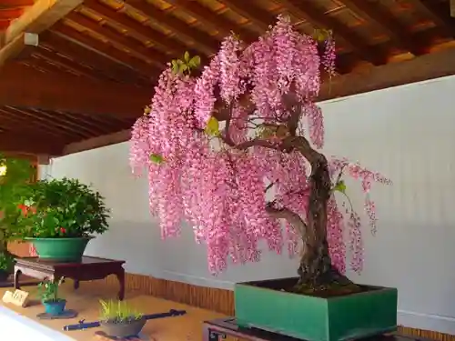 彌彦神社の建物その他